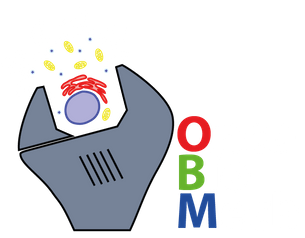 Oncobiomechanics