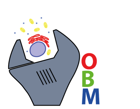 Oncobiomechanics